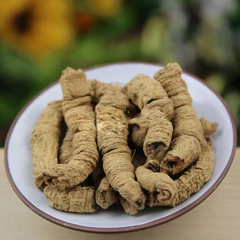 Morinda roots Morinda roots