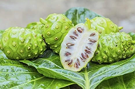 Introduction of plant extract source Introduction of plant extract source