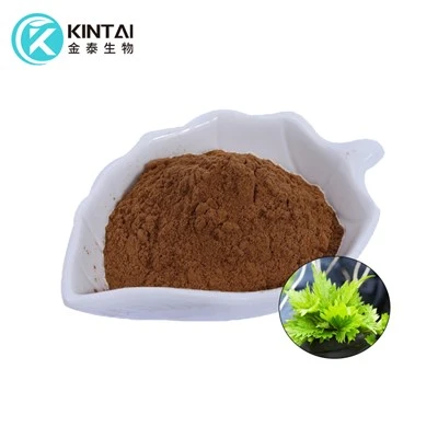 Organic Nettle Rasin Powder
