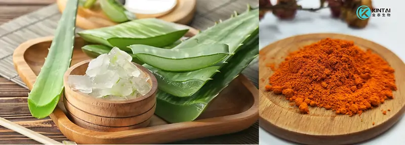 Aloe Emodin Powder Aloe Emodin Powder