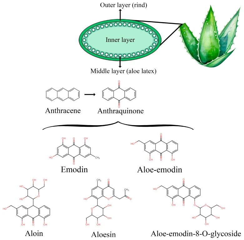 Aloe emodin for inflammatory Aloe emodin for inflammatory