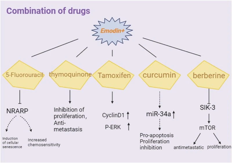 emodin anticancer emodin anticancer
