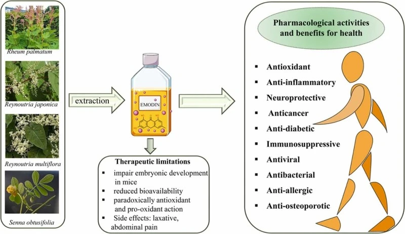Aloe Emodin Powder For Antibacterial Aloe Emodin Powder For Antibacterial