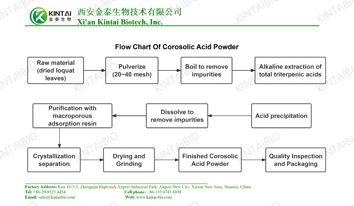 Flow Chart Of Corosolic Acid Powder Flow Chart Of Corosolic Acid Powder